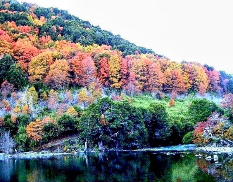 Este #jueves 20 de marzo comienza el #Otoño en el hemisferio Sur.  A las 6:01 am tendrá lugar el #equinoccio, que marca el inicio oficial de la nueva estación.
¡Bienvenido Otoño! 😍🍁❤️