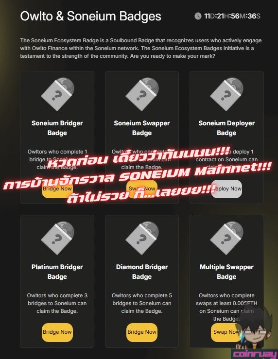 CoinRuay tweet media