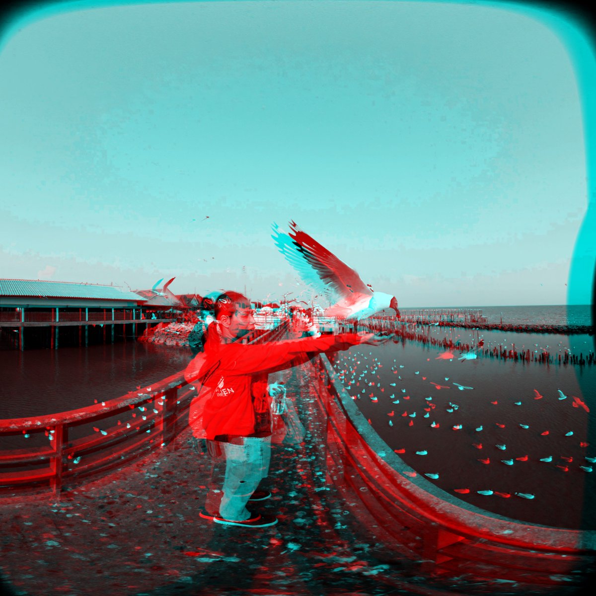 3dguytv's tweet image. I&apos;ve been working non-stop on an Amazing 3D Spatial Video for Andrea Bocelli&apos;s VR Experience. So what do I do when I have a day off? Go shoot 3D VR180 with my #Canon #R5C mounted on my #DJI RS 4 Mini Gimbal. The Red Pier is a fun place to go, not far from #Bangkok.
