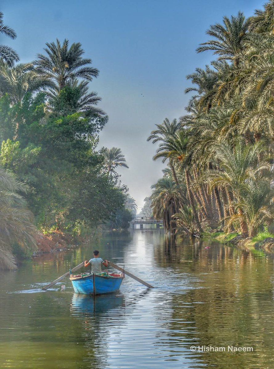 Ma_Mostafa12 tweet picture