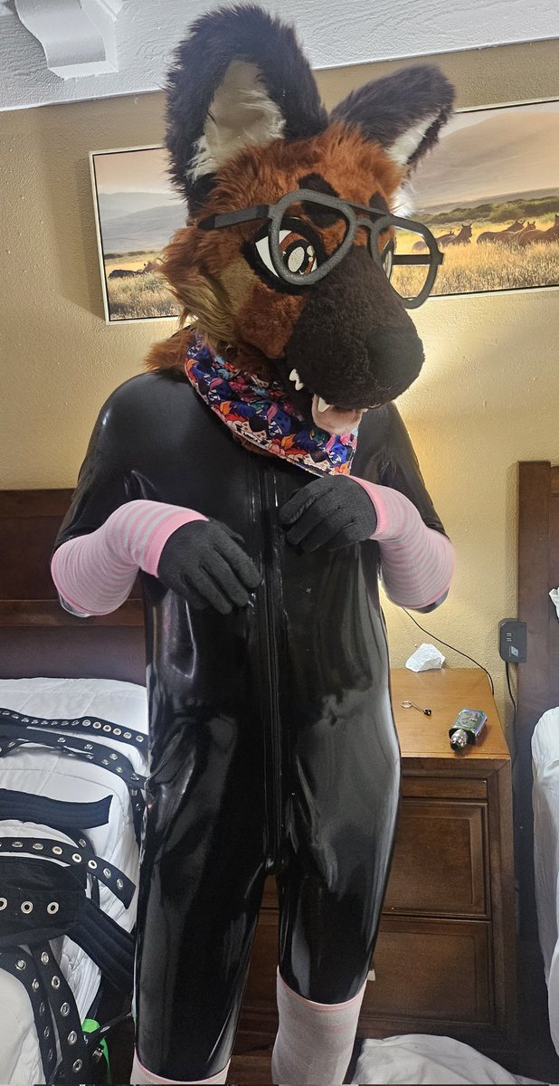 ADPumpkinPup's tweet photo. Yeah, this is definitely a new fit!~ 

#squeakyfur #LatexFur #murrsuit https://t.co/sIkyS4k7lO