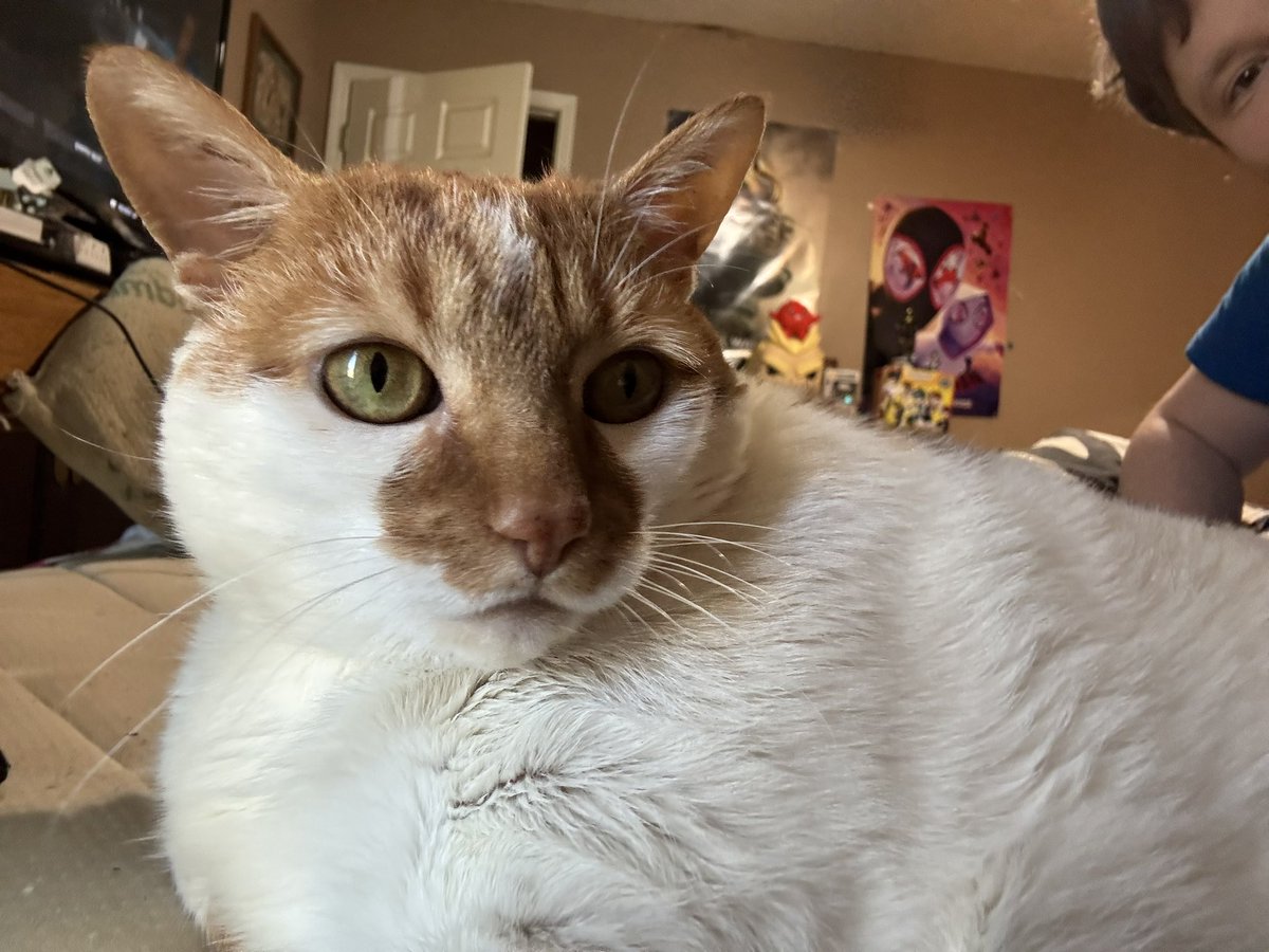 Starting Over tweet media