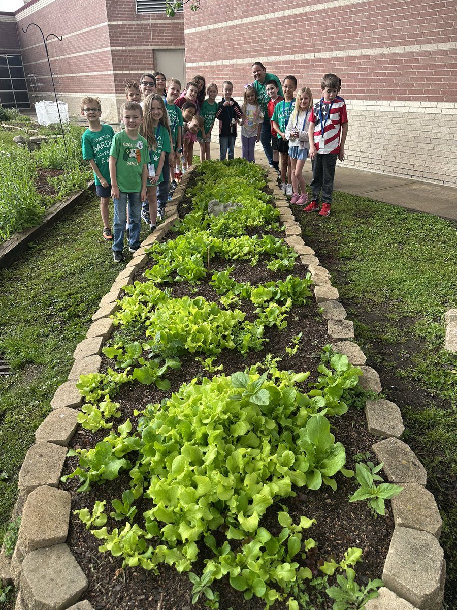 Kristy Michel tweet media