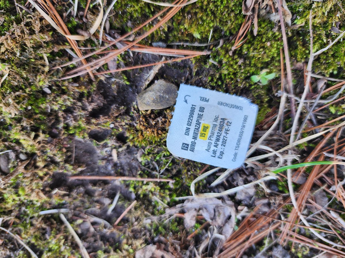 IsisIntrepid's tweet photo. Second time someone is trying to poison dogs on CityHousing Hamilton property!!! @cityofhamilton @AndreaHorwath @NrinderWard3 @CameronKroetsch @alexwilson96 @karl_andrus @HamiltonPolice
Occurrence #: 25-566879 (March 17th)
25-568644 (March 19th)
#HamOnt #YHMCC
CC: @TheSpec @JohnPaulDanko
@DawnDankoOLP @WAWGHAMILTON @becky_buck @SACHAhamont @FilomenaTassi @Shaw_Sandy @RobinLennox @LisaHepfner @SarahJama_ @Ward1Wilson @JeffBeattie2014
@TedMcMeekin @ChadCollinsMP @EstherPauls2 @MSpadafora2022 @NeilLumsdenMPP @BCouncillor @JohnPaulDanko @TammyHwang @HamOntWard4 @McMasteResearch @mac_SW @StJoesHamilton @MohawkCollege @MTaylorNDP @FaeJohnstone @YWCA_Hamilton @anjali_menezes @EasyThePianoMan @PascaleHamOnt @BayObserver @TeviahMoro @jonjwells @EmilyNTayler @CHCHTV