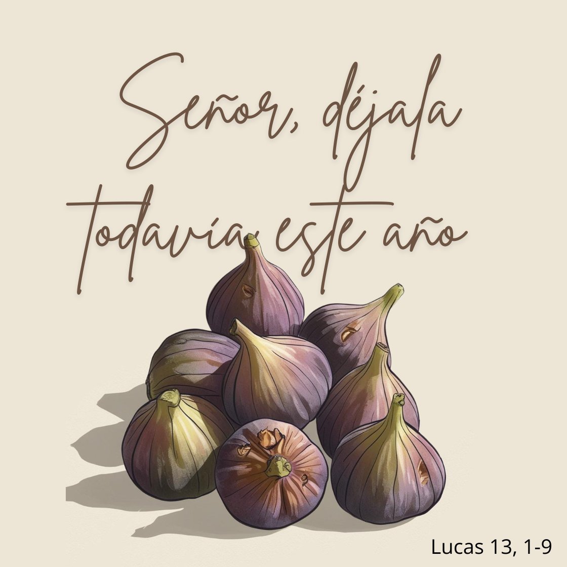 Un Padre que no se cansa de dar oportunidades desde el amor y la misericordia. Una puerta siempre abierta que nos invita a no mirar para otro lado y creer que todo esta hecho. Una nueva oportunidad para dar fruto. #EvangeliodelDia #23marzo #Domingo