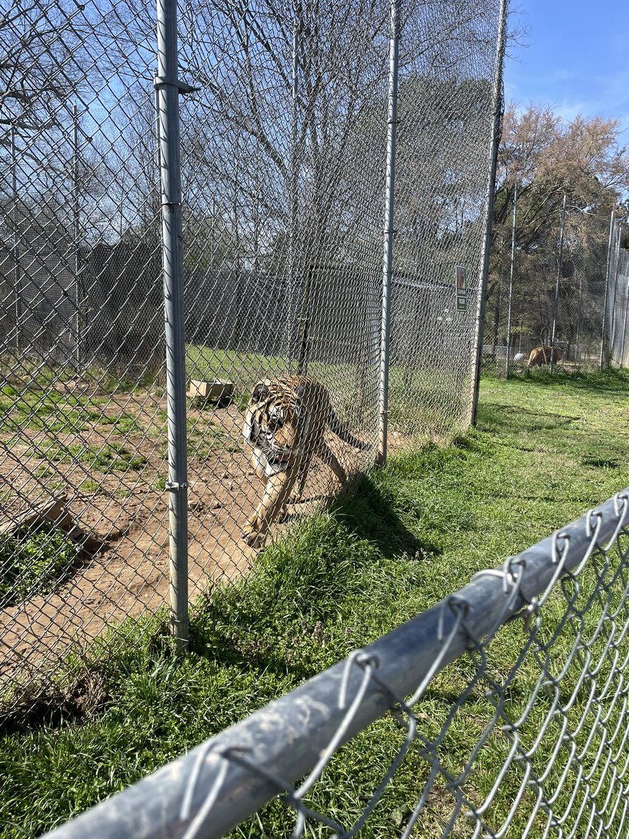 Ms. De la Rosa tweet media