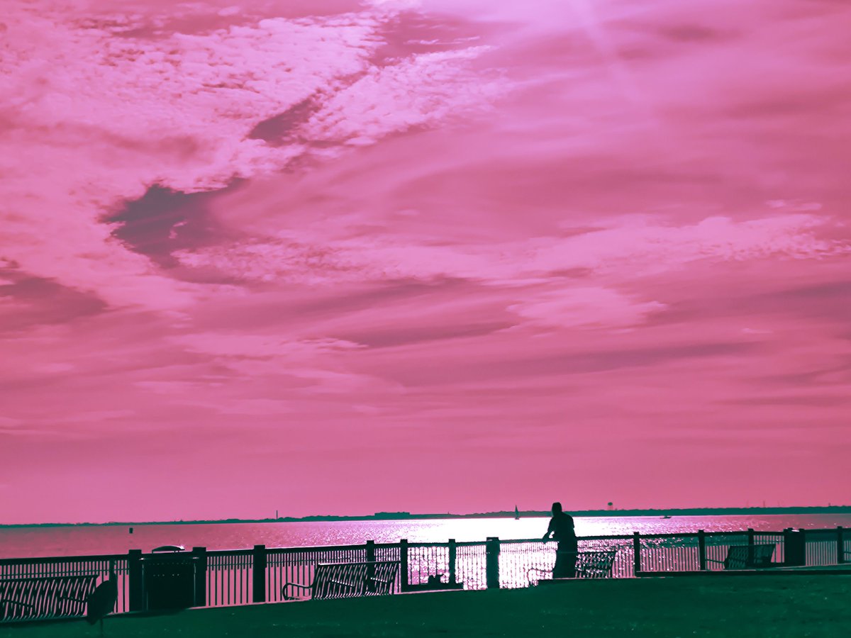 YungCastr0's tweet photo. Rose skies https://t.co/Gn2nW2sEkg