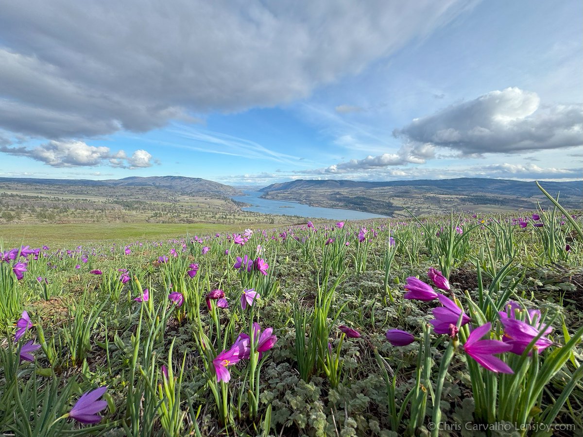 gorgepulse's tweet photo. There are some days in the Gorge when I just have to sit back &amp; stare in awe. Yesterday was one of those. https://t.co/LuYyMKTE0r