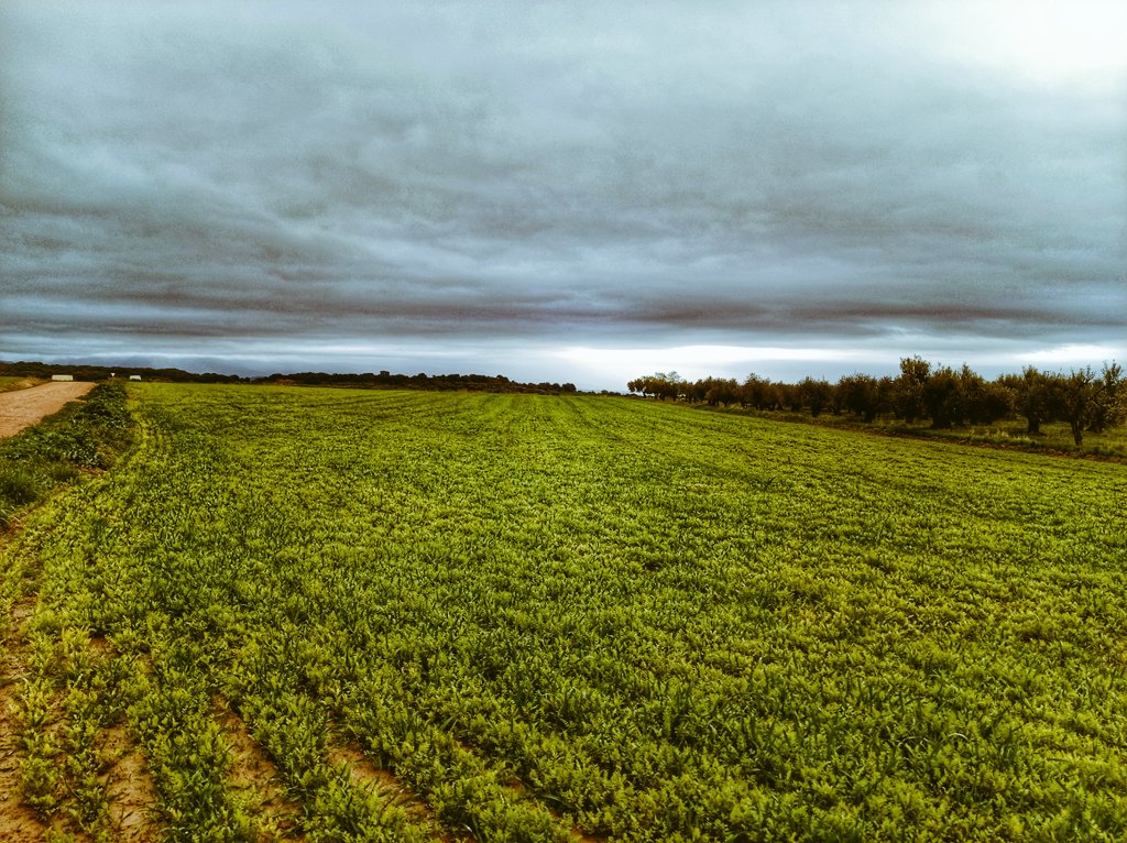 A tierra que siembra,
L'aire que esnavesa.
As fuellas d'o riu,
Que dende o cielo, besan.