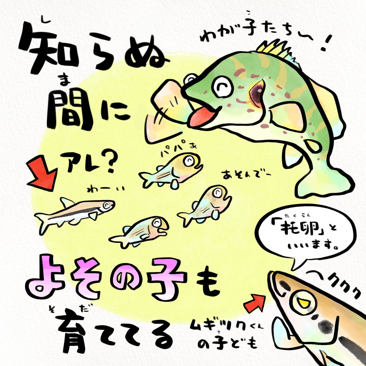 子煩悩すぎて弱みにつけ込まれるさかな 