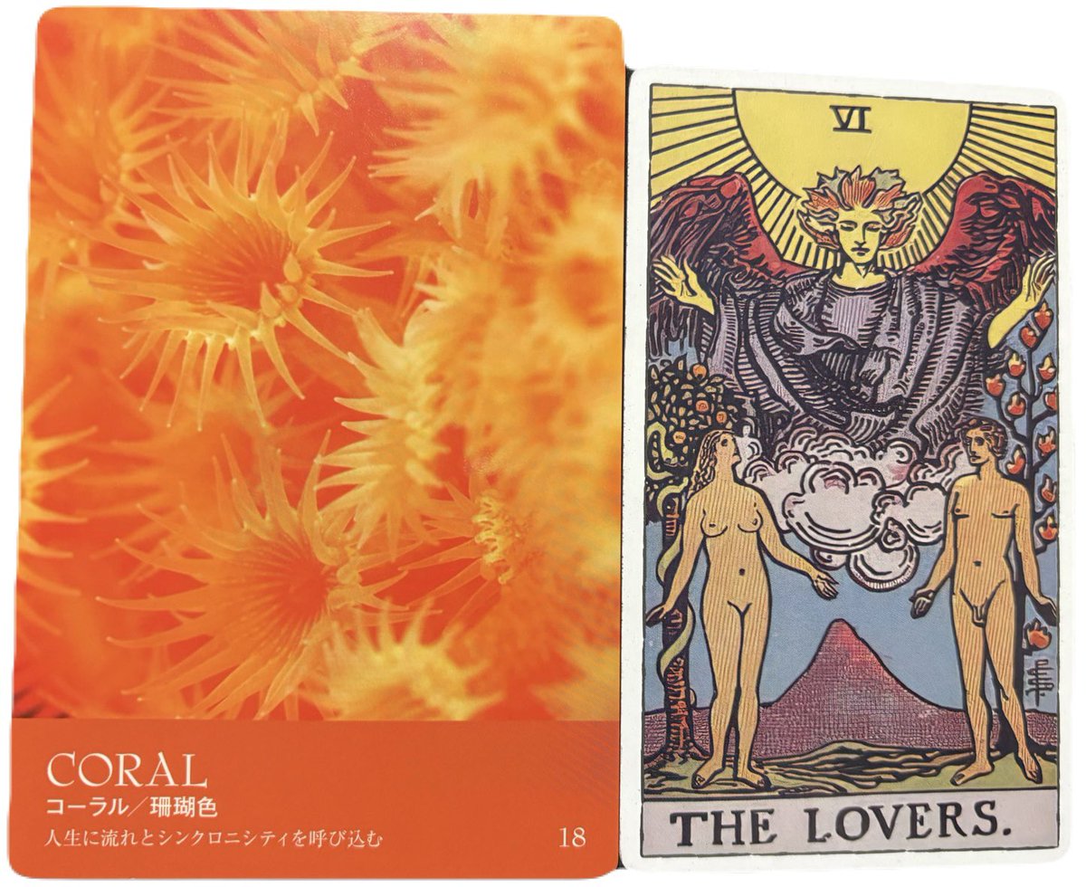 《今日のメッセージ🔮》
至福の心地良さを感じる💕

お互いの思いが通じ合う日！
頭で考えず直感を信じてみて？

お相手も思いはあなたと同じかも？！

恋の始まり？ドキドキ展開？！
身も心も満たされるよ💕