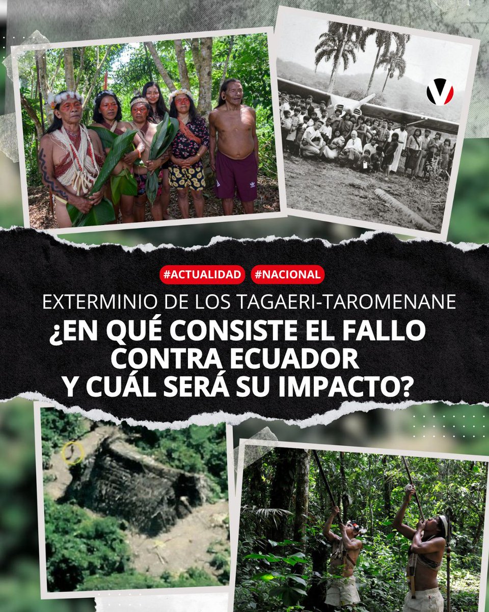 #ATENCIÓN | La Corte IDH condenó al Estado como responsable de varias masacres y lo obligó a tomar medidas de protección para los pueblos Tagaeri y Taromenane. Aquí una línea de tiempo de los hechos: v.vistazo.com/43UClbM