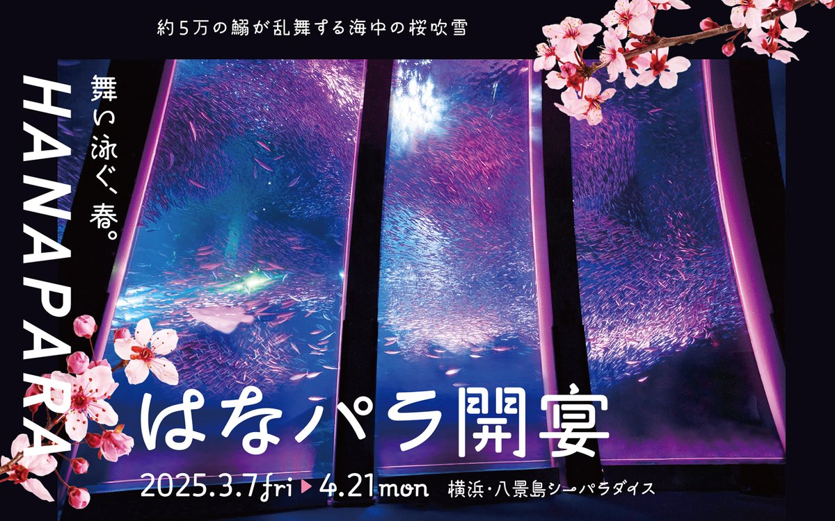 八景島シーパラダイス ノベルティ 桜島麻衣 八景島シーパラダイス ノベルティ 桜島麻衣 青ブタ 八景島シー