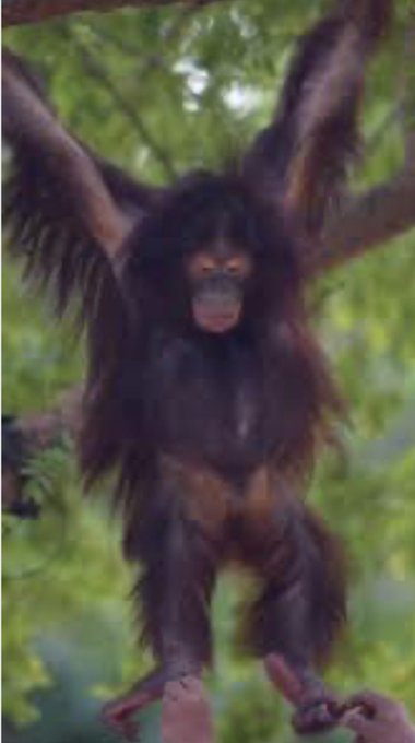 Watch debee ashby's leaked NSFW photo on TwXstars