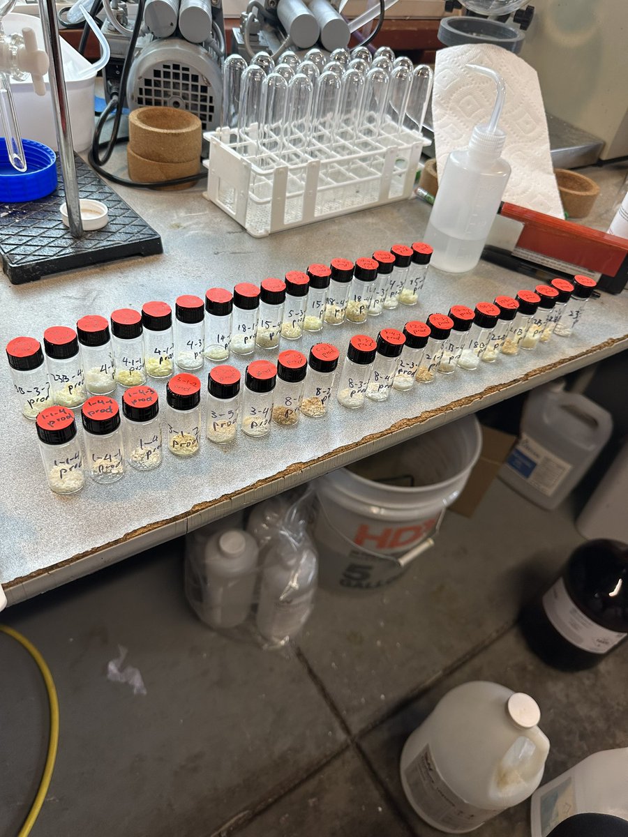 Douglas Yao tweet media