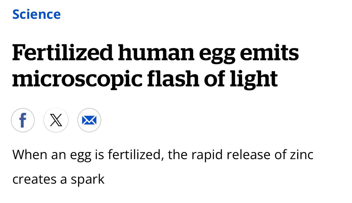 Cheesemaker Durdsden tweet media