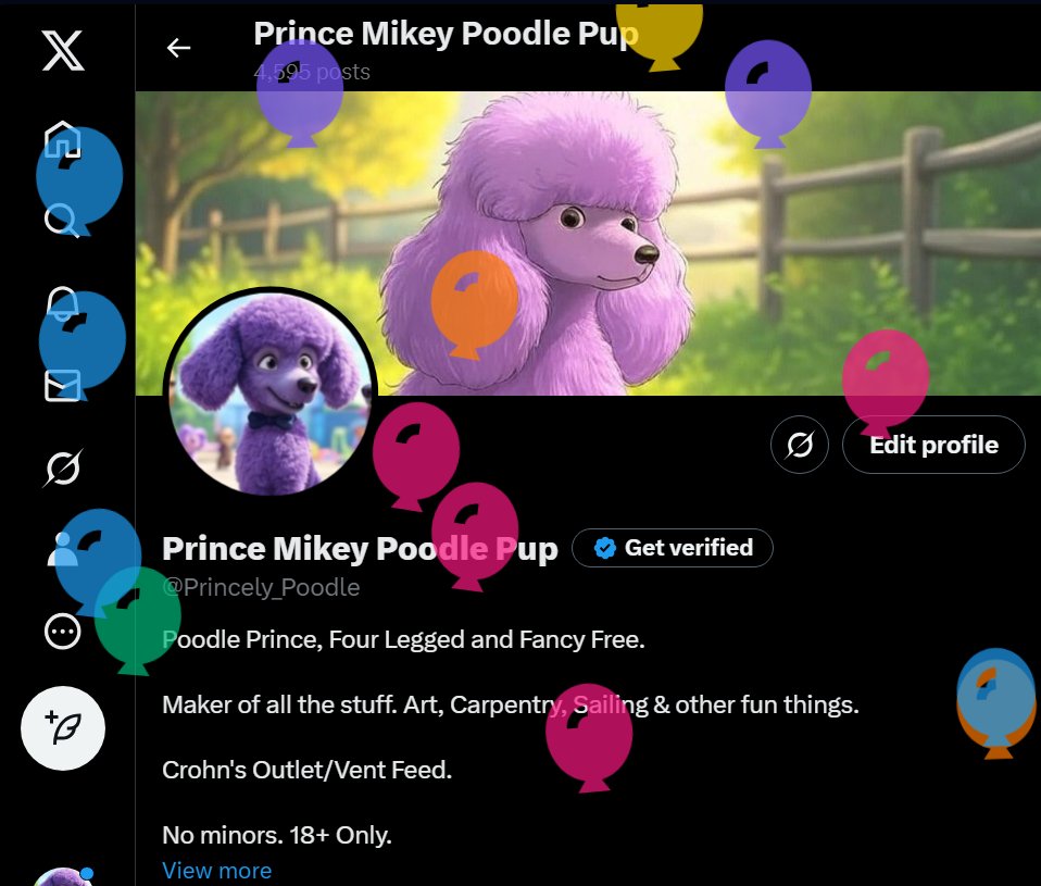 Prince Mikey Poodle Pup tweet media