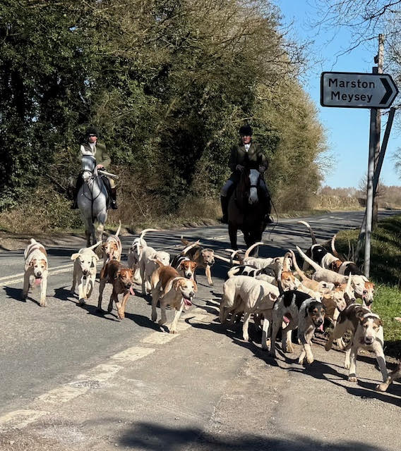 CIHWatch's tweet image. VWH hunting around Meysey Hampton near their kennels. Will soon be over for the season and for good if we have our way. #banhuntingwithdogs #banterrierwork #stopbloodsports #strengthenthehuntingact #actionagainstfoxhunting