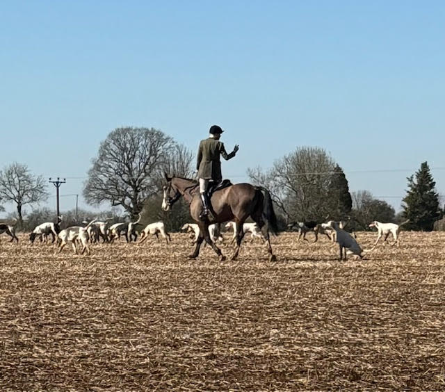 CIHWatch's tweet image. VWH hunting around Meysey Hampton near their kennels. Will soon be over for the season and for good if we have our way. #banhuntingwithdogs #banterrierwork #stopbloodsports #strengthenthehuntingact #actionagainstfoxhunting