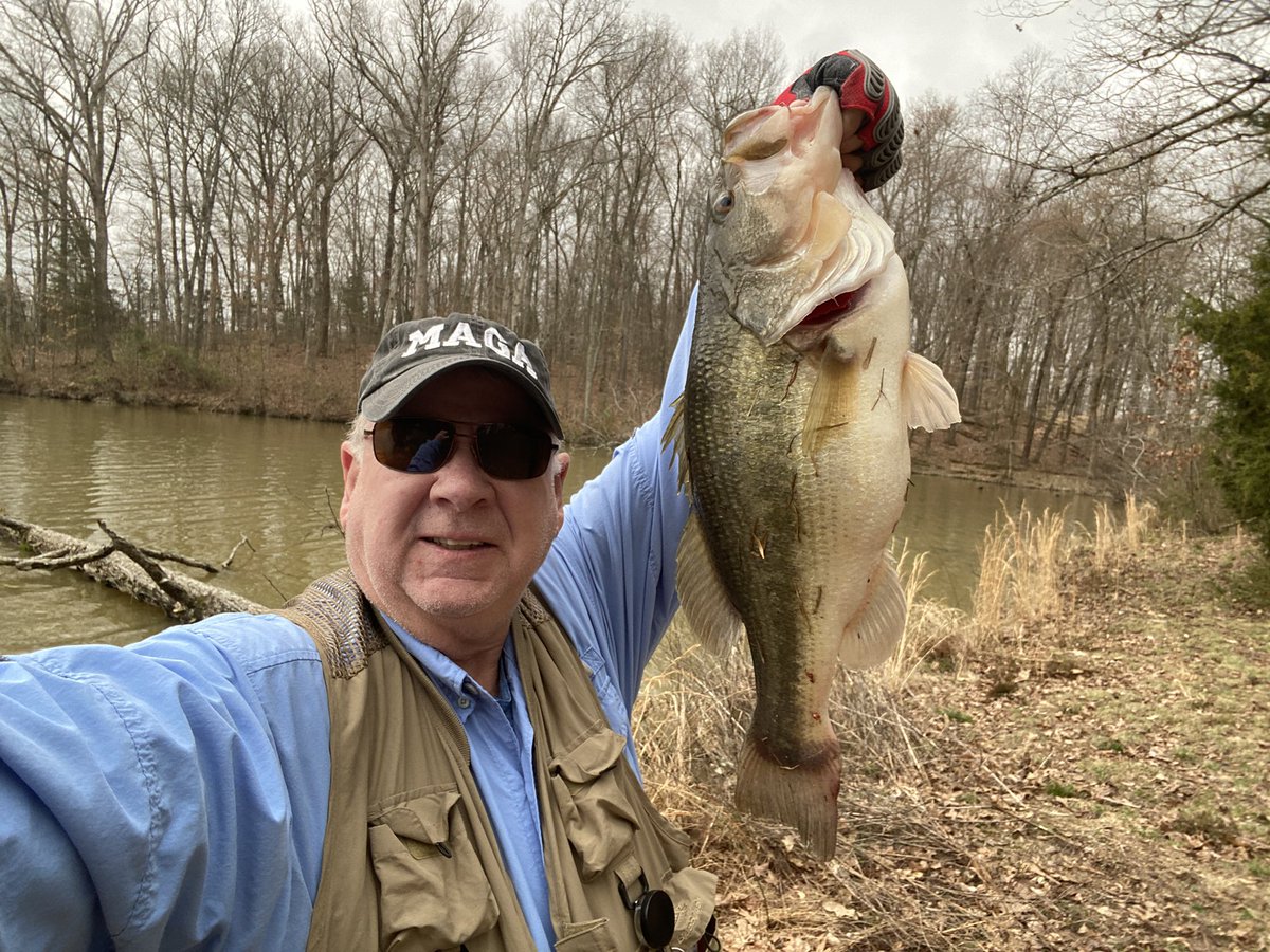 Q17Bob's tweet photo. 4 biggest from today. Finally broke the 9 lb mark. Shooting for a 10 in the coming weeks. @ZOOMBaitCompany 8” magnum lizards in Junebug green glitter. https://t.co/vKGGa0IozV