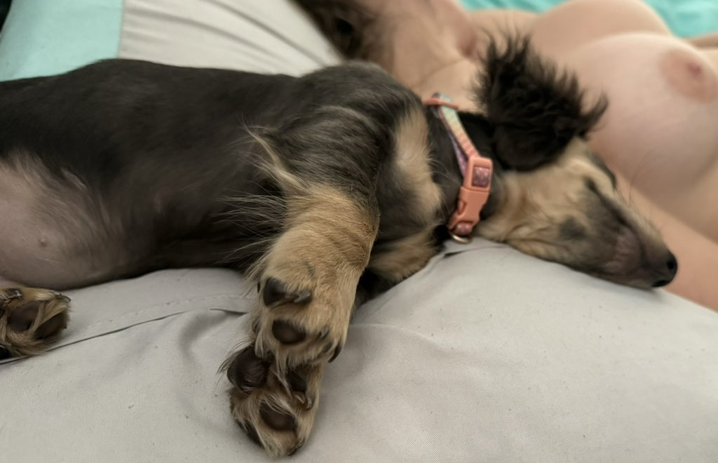 I have the cutest puppy on the planet