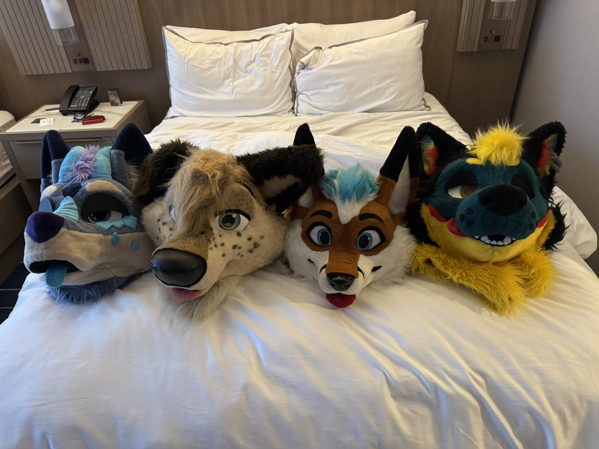Arrived to Furnal Equinox with the best cuties ❤️ also thank u to <a href="/Blep_Fox/">Blep 🇨🇦🏳️‍🌈🦊</a> for getting the best room 😎

<a href="/Blep_Fox/">Blep 🇨🇦🏳️‍🌈🦊</a> 🧡
<a href="/The_cute_collie/">Bax</a> 💚
<a href="/Star_Icer/">StarIcer</a> 💙
