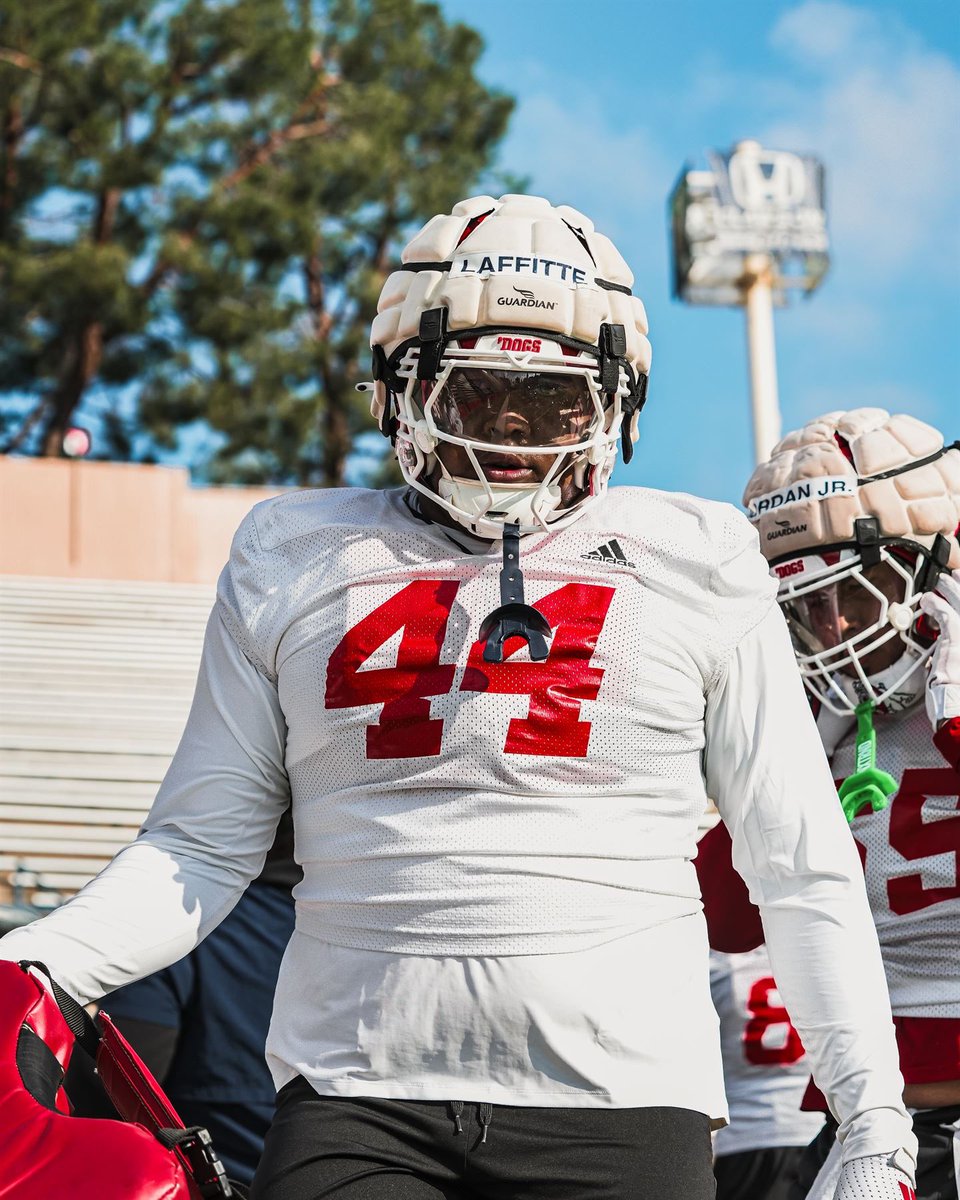 4D4 💰 tweet media