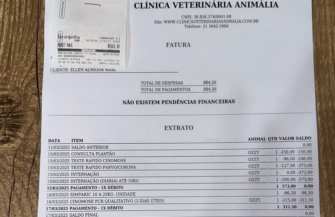 Opa Bichos tweet media