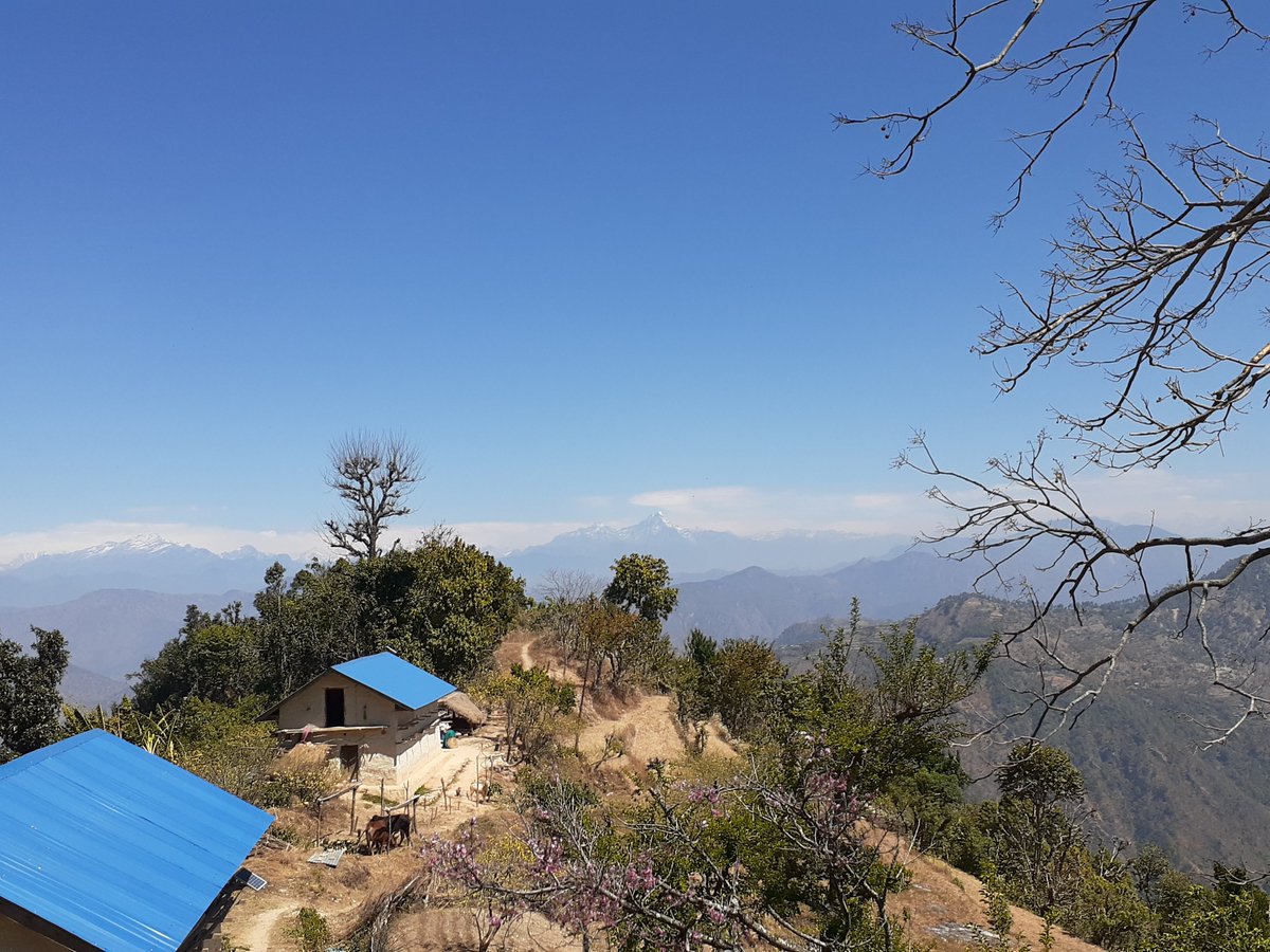 Dinanath Bhandari tweet media