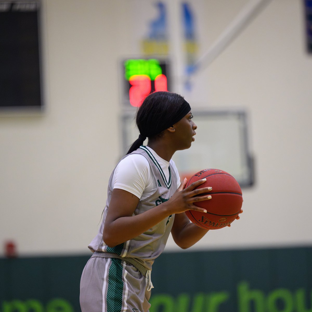 Robin Stevenson💚🏀 tweet media