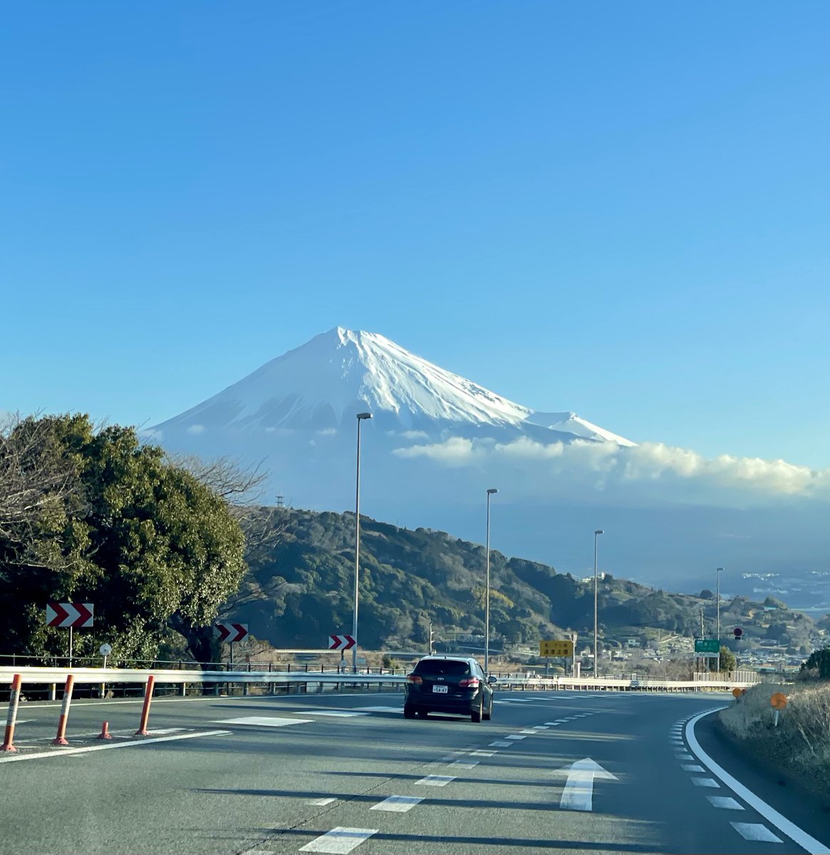 A2✨白龍と富士山 ✨ No. 10 虹の不死鳥No.5 【 宇治るぽさま専用】 篠 on X: 