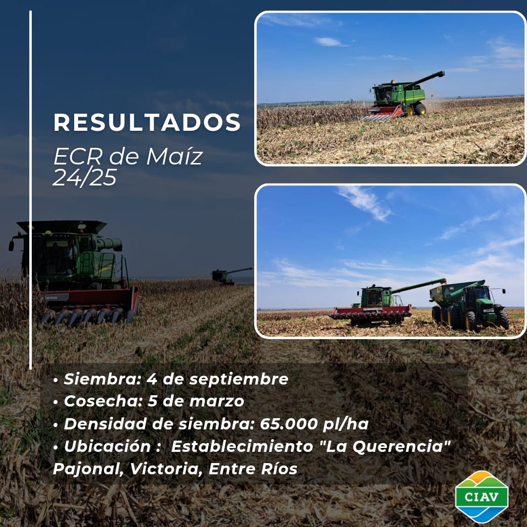 circuloingvic's tweet photo. Resultados del Análisis Estadístico del ECR 🌽 24/25 
📊 Los datos fueron analizados por el Ing. Agr. Rodrigo Penco, docente de la cátedra de Estadística de la FCA  UNER.
Agradecemos a los que hicieron posible la obtención de estos valiosos datos.
Nos vemos en la próxima edición! https://t.co/QJkBLXOJyQ