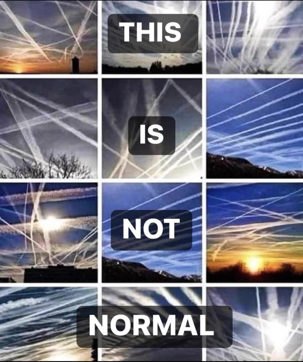 thehealthb0t's tweet image. 