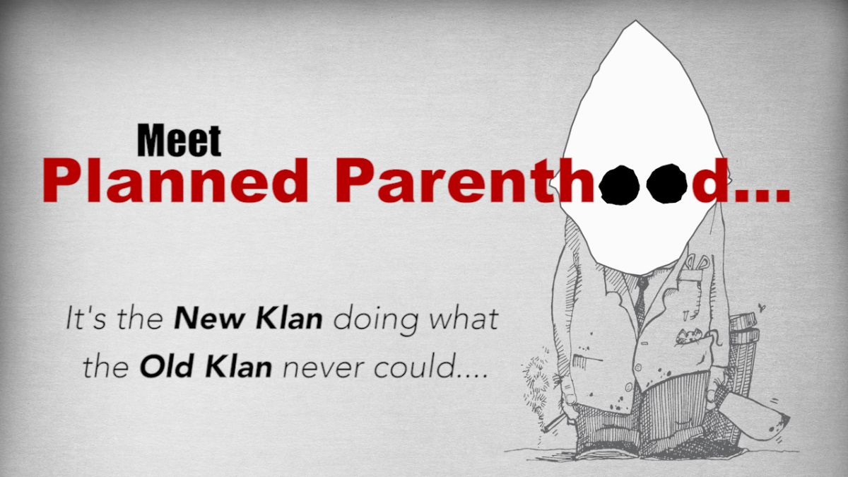 Life Dynamics tweet media