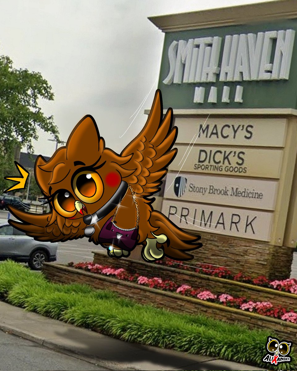 🦉AleXander 🐺 tweet media
