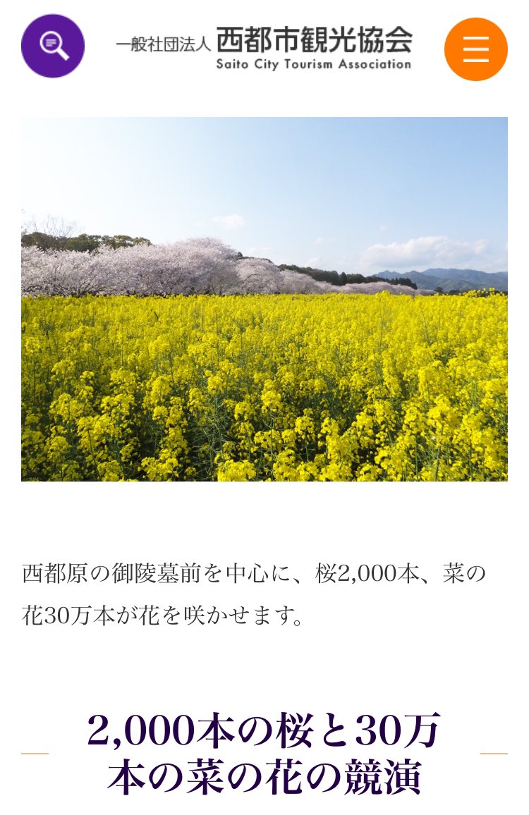 y0hei07's tweet photo. テゲバ戦行きたかったなー！
西都原古墳の桜満開かもなー！
（スタジアムから20分くらい）

試合観戦に

お花見に🌸

歴史の勉強に

#テゲバジャーロ宮崎 
#鹿児島ユナイテッドFC 
#焼酎クラシコ
 #南九州ダービー https://t.co/Wd8BQCcxLn