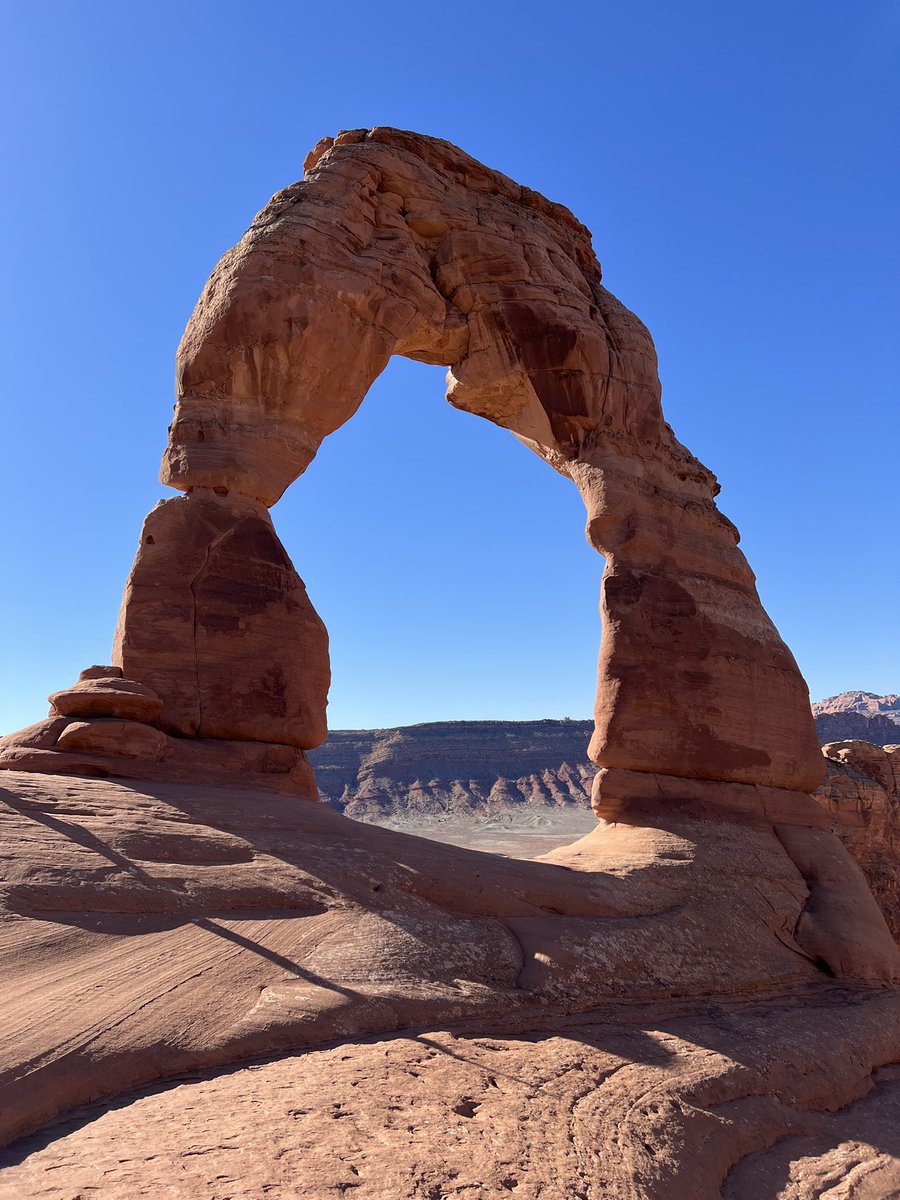 lifofifo ◉ tweet media