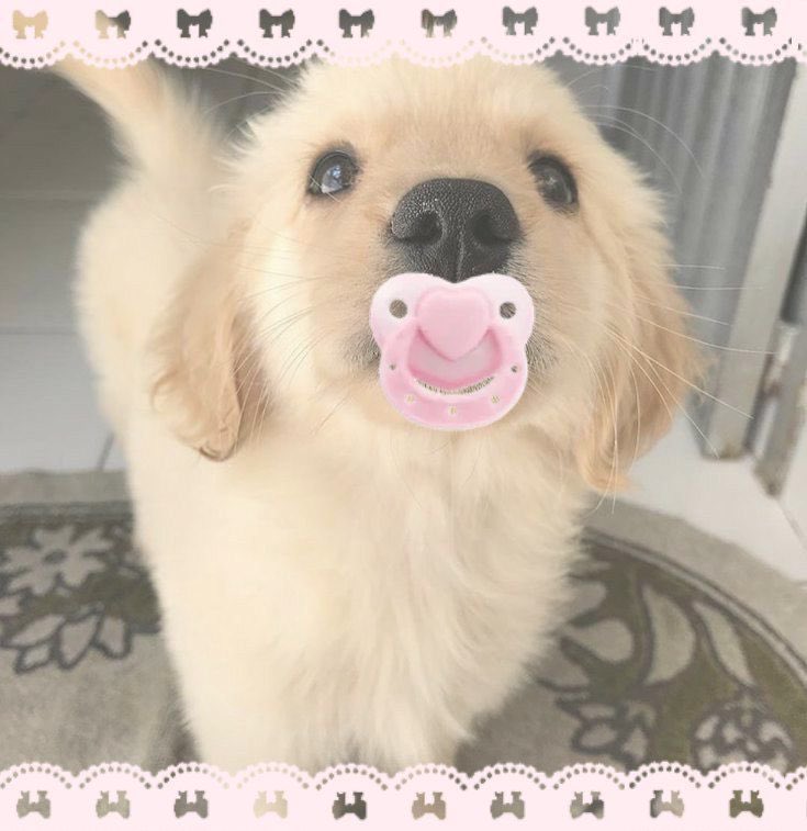 th   vibe   i   bring   to   th   function