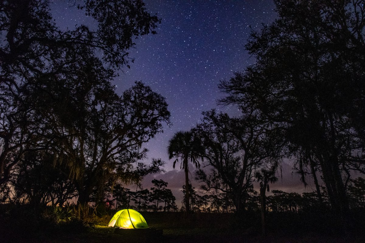 FLStateParks's tweet image. Camping or glamping… why choose when you can do both? Whether you're looking to rough it under the stars or indulge in a cozy yurt, Florida’s parks offer a range of outdoor experiences for every adventurer. What’s your style?
***
📍Photo 1: Myakka River State Park
📍Photo 2:…
