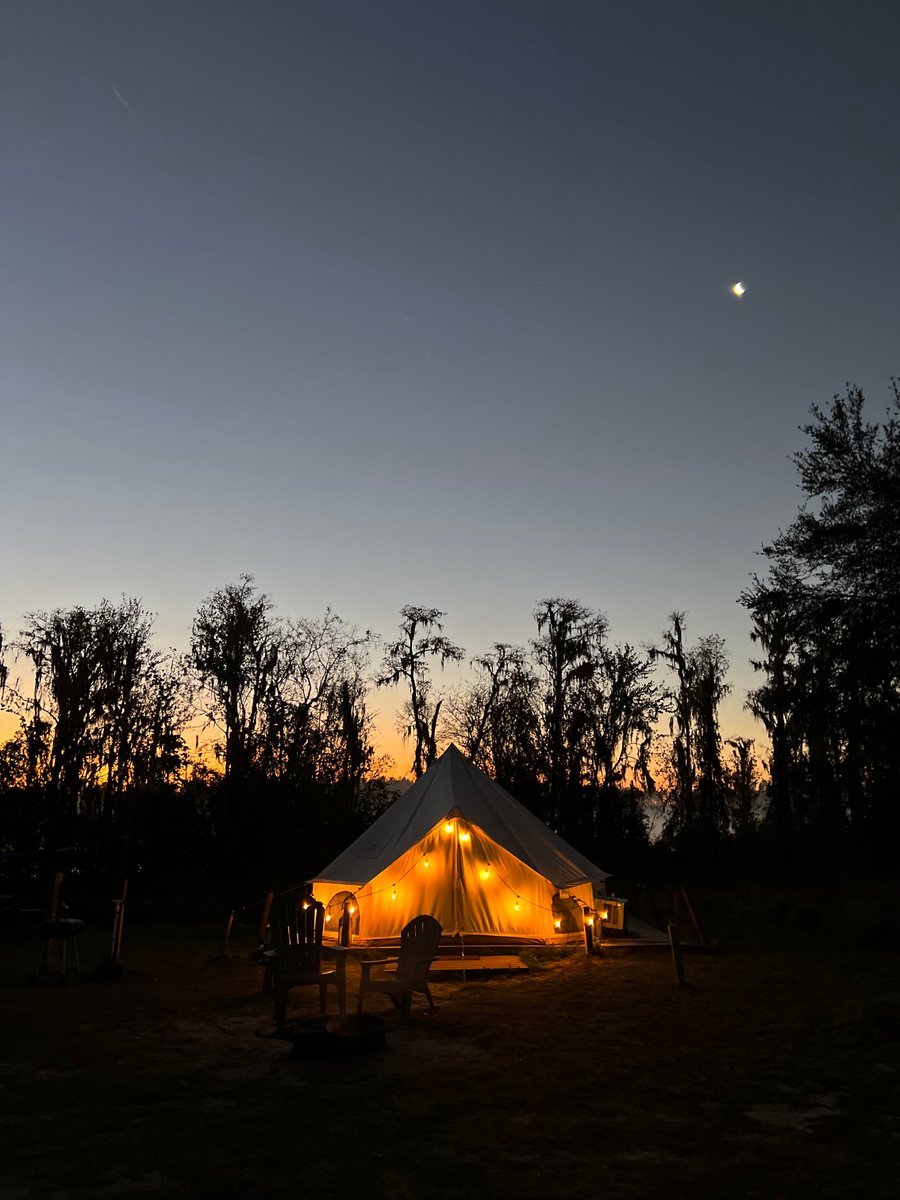 FLStateParks's tweet image. Camping or glamping… why choose when you can do both? Whether you're looking to rough it under the stars or indulge in a cozy yurt, Florida’s parks offer a range of outdoor experiences for every adventurer. What’s your style?
***
📍Photo 1: Myakka River State Park
📍Photo 2:…