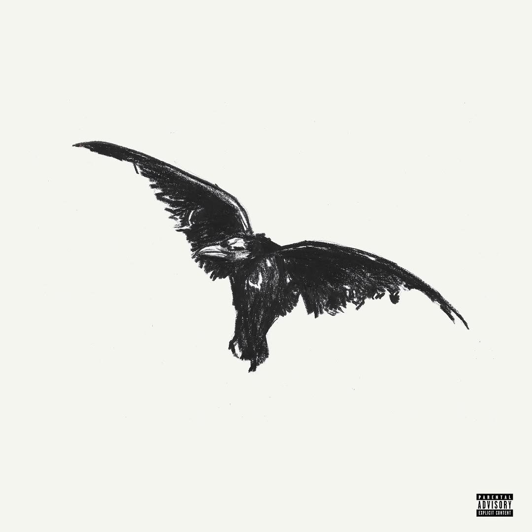 An aerial view of waves crashing against a shore.