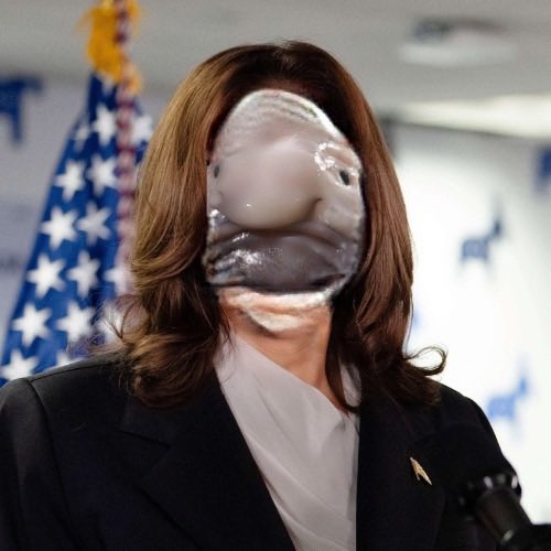 Blobharris's tweet photo. If @BlobTrump is President, life will be a blur 🌫️🌫️ https://t.co/z1Lo3bddRU