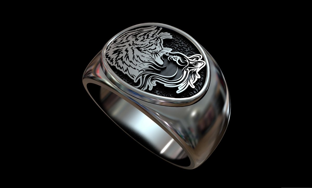 Kryptex100B's tweet image. Need something modelled?

 send DM