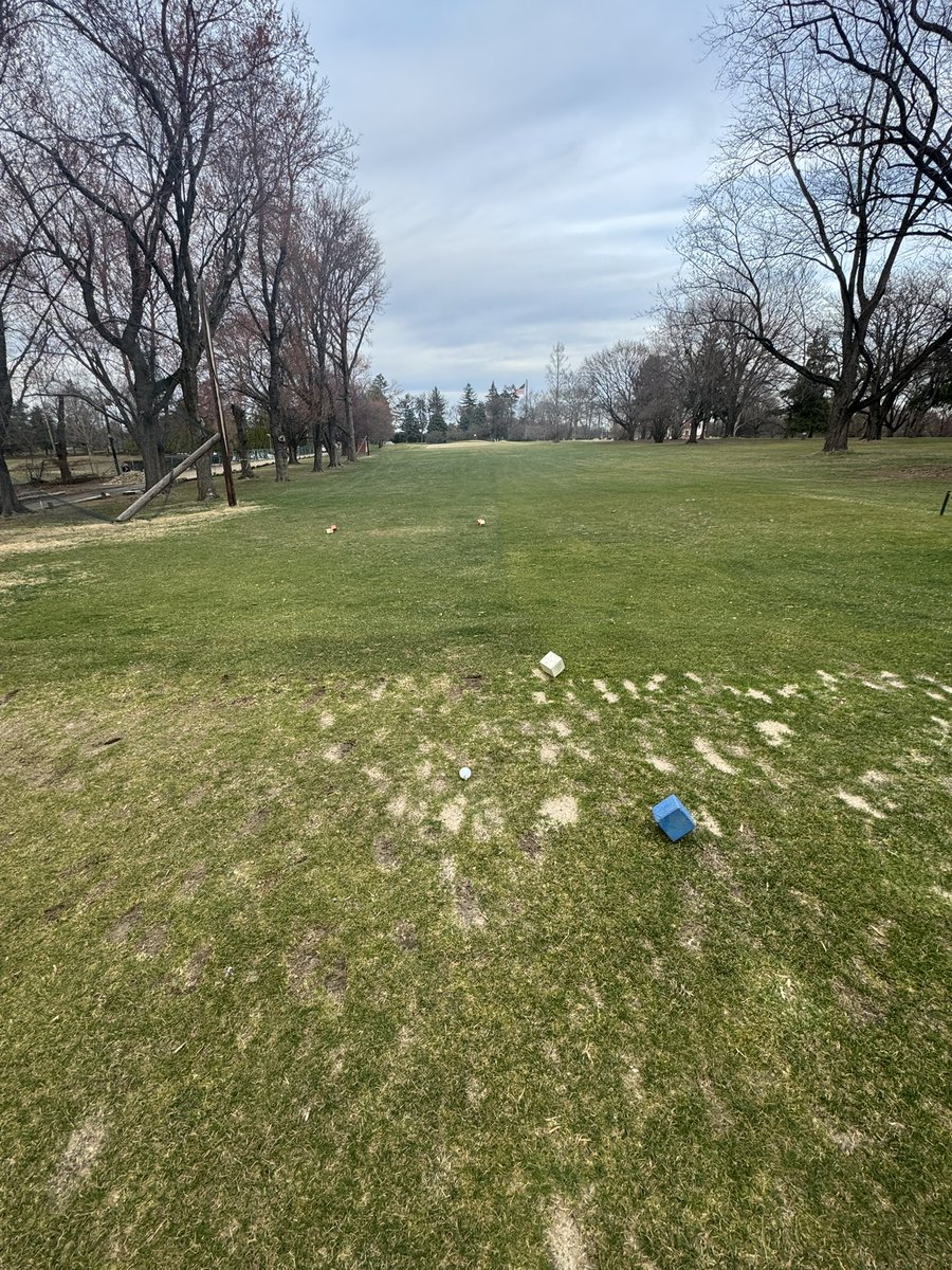 thecomplexPS's tweet image. Crowd meter at 100 #Lank