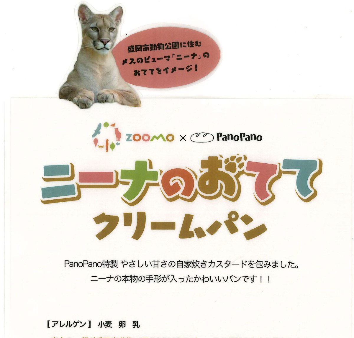 moriokazoo's tweet photo. ＃ピューマのおててクリームパン　あります！
ピューマの“ニーナ”の実物大焼き印で肉球がついてます！
常温で90分解凍して食べごろに！
ZOOMO BASE内ショップasHiato by ZOOMOにて販売中！
数量限定です！
＃今日のニーナ https://t.co/7WBNCMHaBM