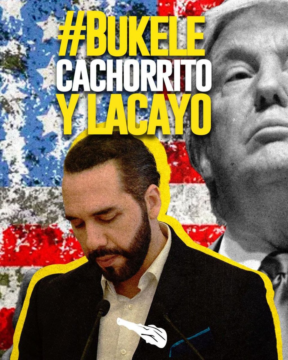 #BukeleCachorritoYLacayo Indigno sujeto que ha ofendido el gentilicio Venezolano. Cómplice de un secuestro masivo.