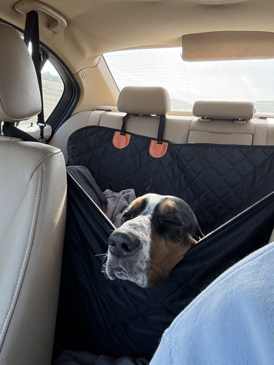 Jake Levinson tweet media