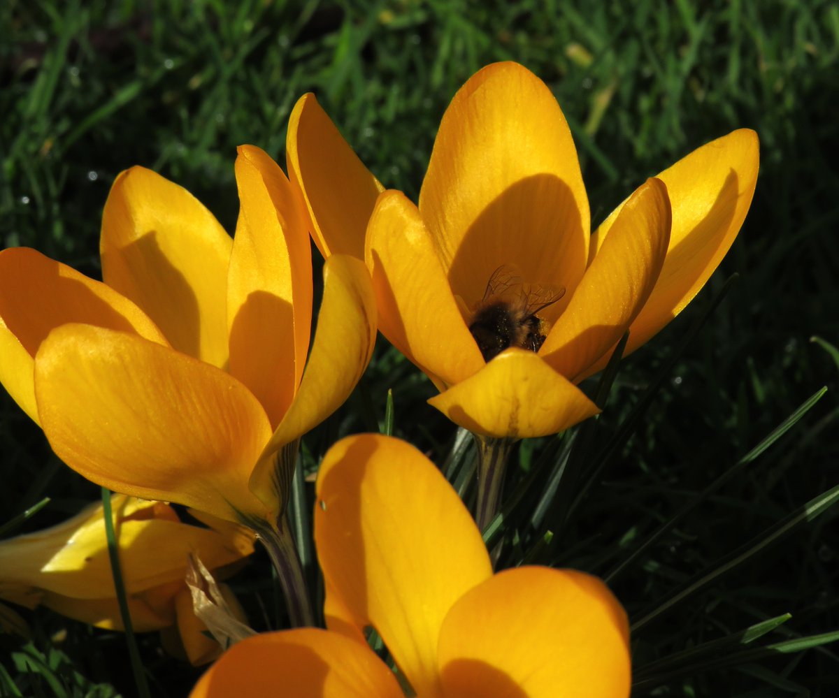 Matthew Shute 🌳 tweet media