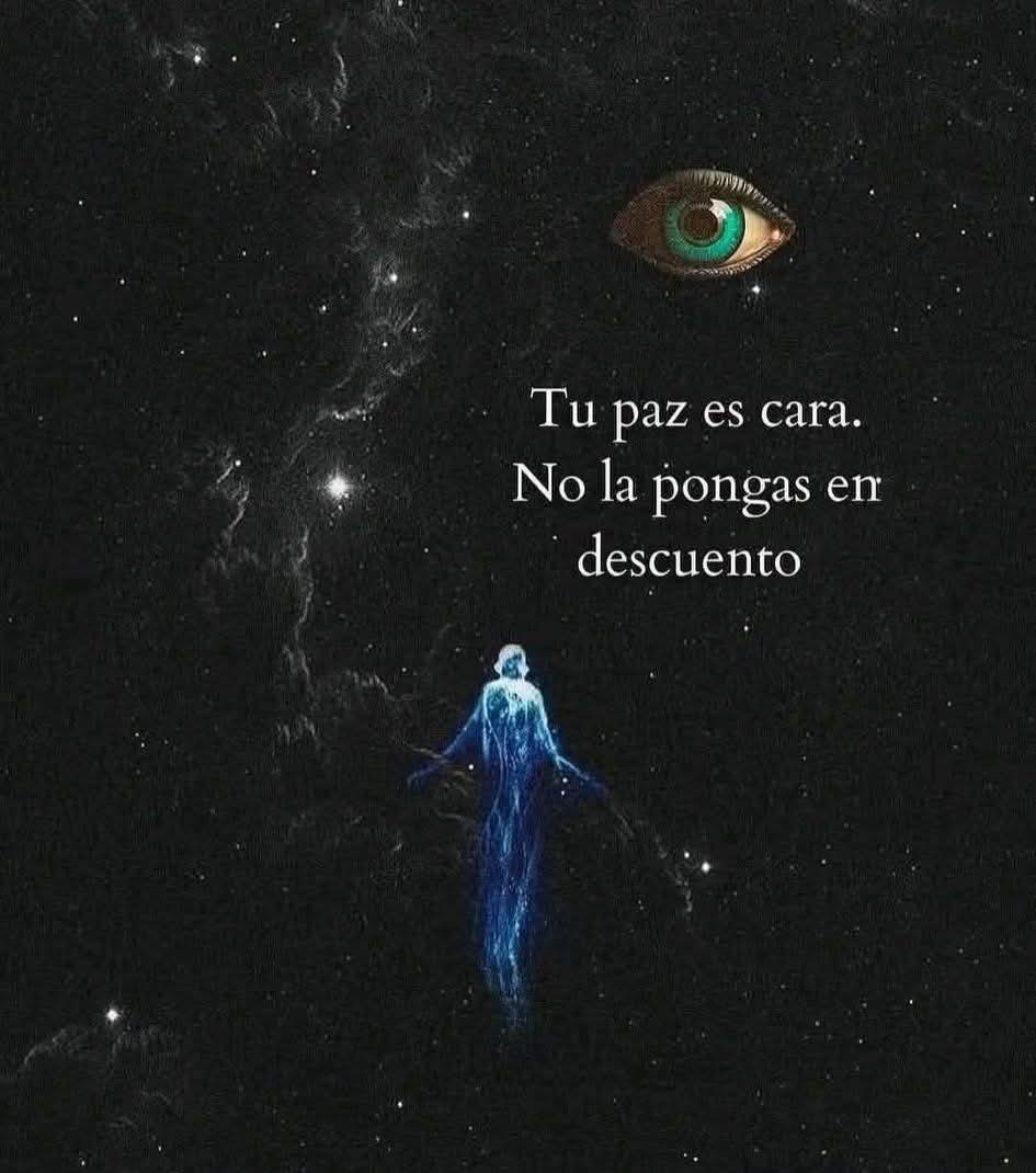 angelo_uf's tweet photo. https://t.co/7pYIAK2IgM