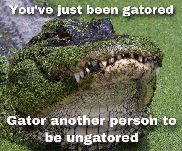 SWAMP SESSIONS tweet media